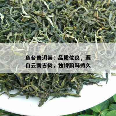 鱼台普洱茶：品质优良，源自云南古树，独特韵味持久