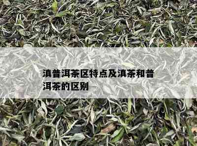 滇普洱茶区特点及滇茶和普洱茶的区别