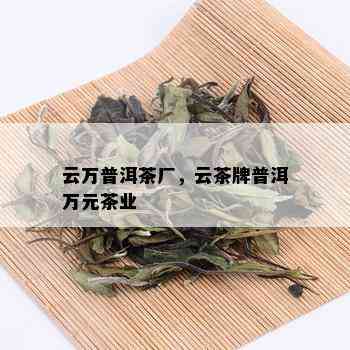 云万普洱茶厂，云茶牌普洱万元茶业