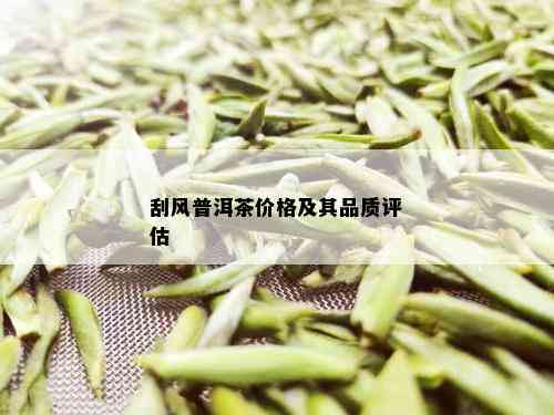 刮风普洱茶价格及其品质评估