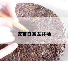 安吉白茶龙井场