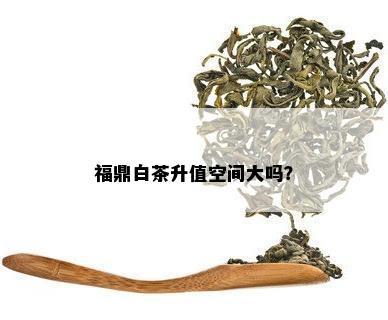 福鼎白茶升值空间大吗？