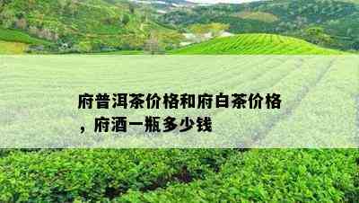 府普洱茶价格和府白茶价格，府一瓶多少钱