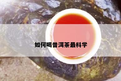 如何喝普洱茶最科学