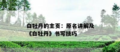 白牡丹的主页：原名讲解及《白牡丹》书写技巧