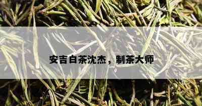 安吉白茶沈杰，制茶大师