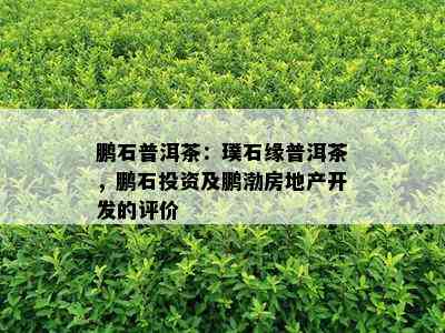 鹏石普洱茶：璞石缘普洱茶，鹏石投资及鹏渤房地产开发的评价