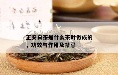 正安白茶是什么茶叶做成的，功效与作用及禁忌