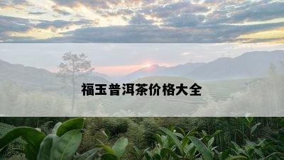 福玉普洱茶价格大全