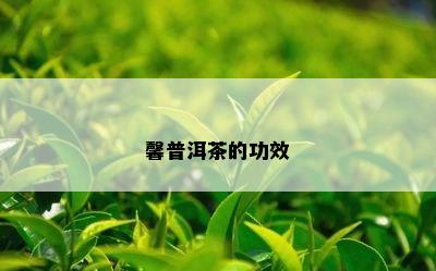 馨普洱茶的功效