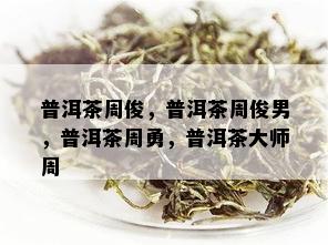 普洱茶周俊，普洱茶周俊男，普洱茶周勇，普洱茶大师周