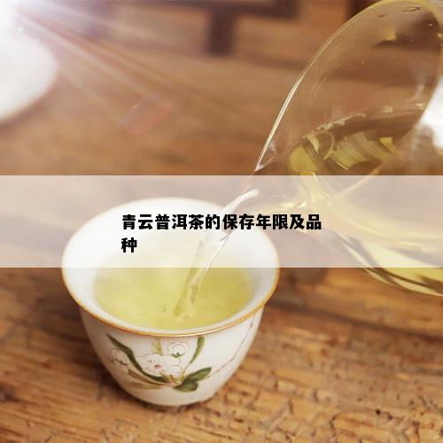 青云普洱茶的保存年限及品种