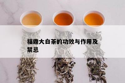 福鼎大白茶的功效与作用及禁忌