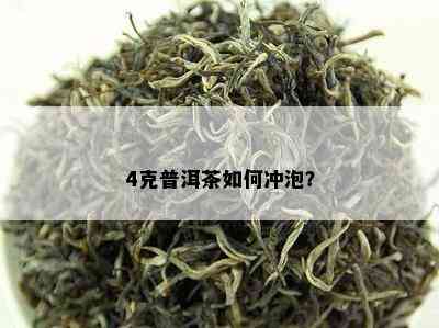 4克普洱茶如何冲泡？