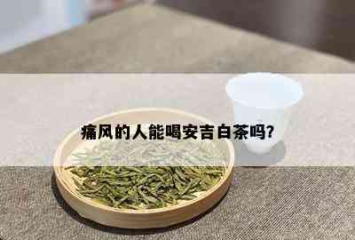 痛风的人能喝安吉白茶吗？