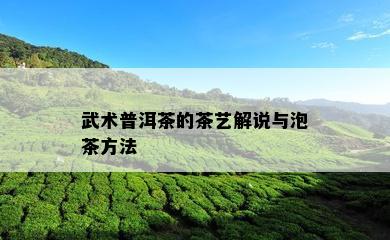 武术普洱茶的茶艺解说与泡茶方法