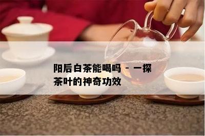 阳后白茶能喝吗 - 一探茶叶的神奇功效