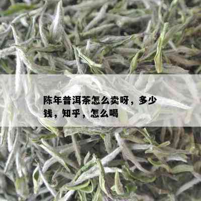 陈年普洱茶怎么卖呀，多少钱，知乎，怎么喝