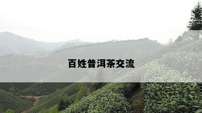 百姓普洱茶交流