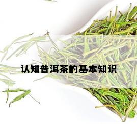 认知普洱茶的基本知识