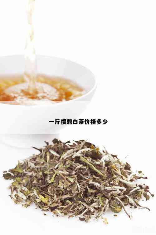 一斤福鼎白茶价格多少