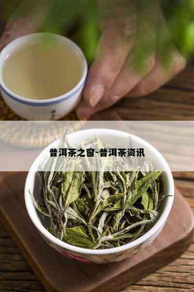 普洱茶之窗-普洱茶资讯