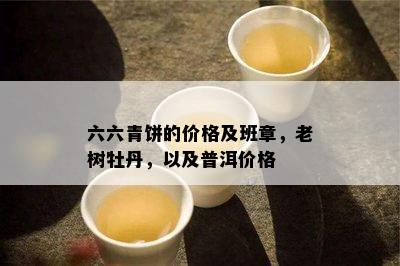 六六青饼的价格及班章，老树牡丹，以及普洱价格