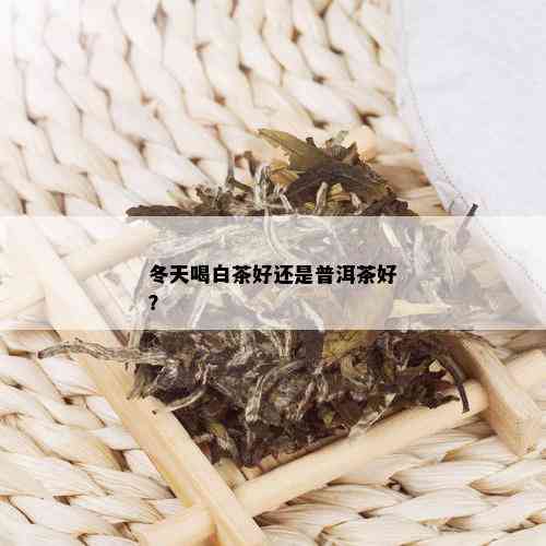 冬天喝白茶好还是普洱茶好？