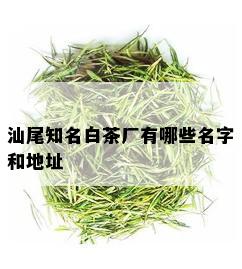 汕尾知名白茶厂有哪些名字和地址