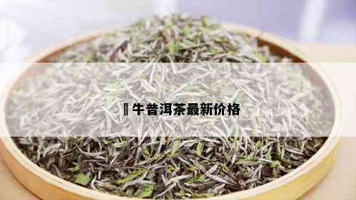 犇牛普洱茶最新价格