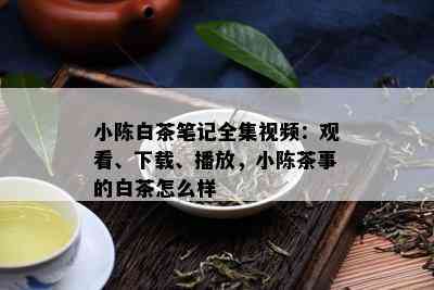 小陈白茶笔记全集视频：观看、下载、播放，小陈茶事的白茶怎么样