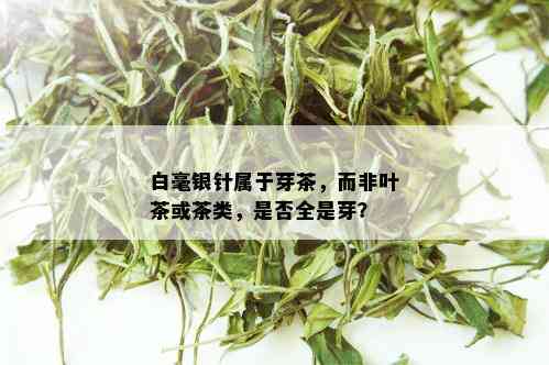 白毫银针属于芽茶，而非叶茶或茶类，是否全是芽？