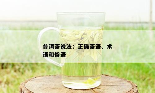 普洱茶说法：正确茶语、术语和俗语