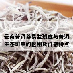 云南普洱茶易武班章与普洱生茶班章的区别及口感特点