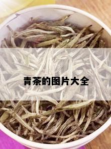 青茶的图片大全