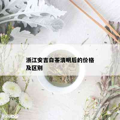 浙江安吉白茶清明后的价格及区别