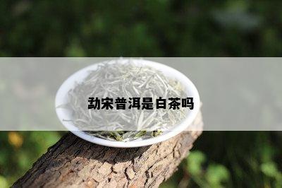 勐宋普洱是白茶吗