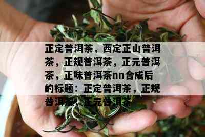 正定普洱茶，西定正山普洱茶，正规普洱茶，正元普洱茶，正味普洱茶nn合成后的标题：正定普洱茶，正规普洱茶，正元普洱茶