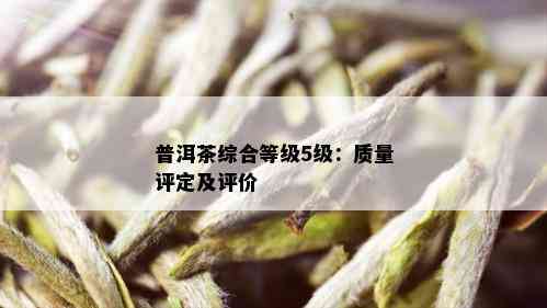 普洱茶综合等级5级：质量评定及评价