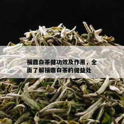 福鼎白茶健功效及作用，全面了解福鼎白茶的健益处