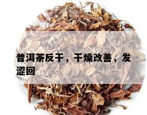 普洱茶反干，干燥改善，发涩回