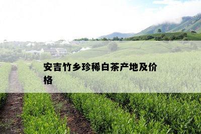 安吉竹乡珍稀白茶产地及价格