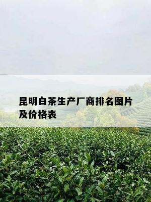 昆明白茶生产厂商排名图片及价格表