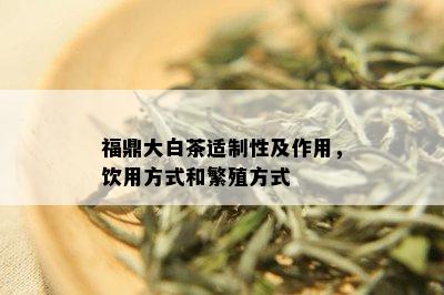 福鼎大白茶适制性及作用，饮用方式和繁殖方式