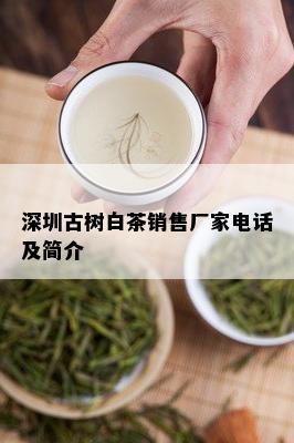 深圳古树白茶销售厂家电话及简介