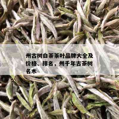 州古树白茶茶叶品牌大全及价格、排名，州千年古茶树名木