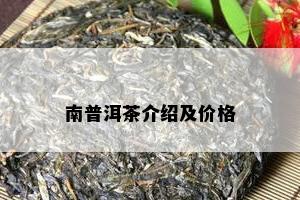 南普洱茶介绍及价格