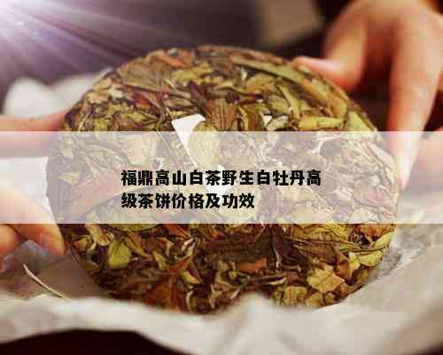 福鼎高山白茶野生白牡丹高级茶饼价格及功效