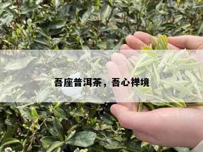 吾座普洱茶，吾心禅境