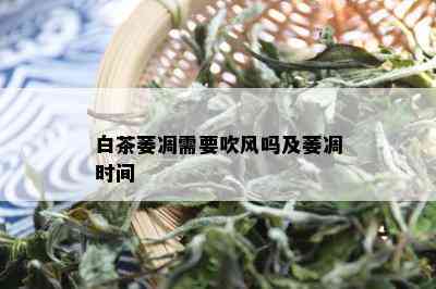 白茶萎凋需要吹风吗及萎凋时间